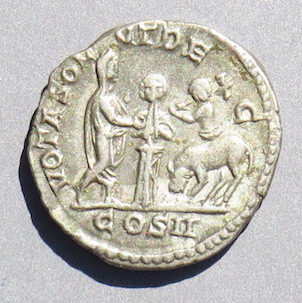 CaracallaVOTASOLVT40r.JPG