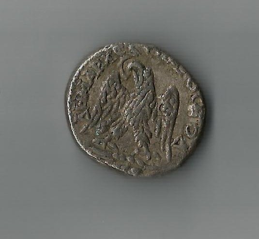 CaracLeft AR           Cyprus.jpg
