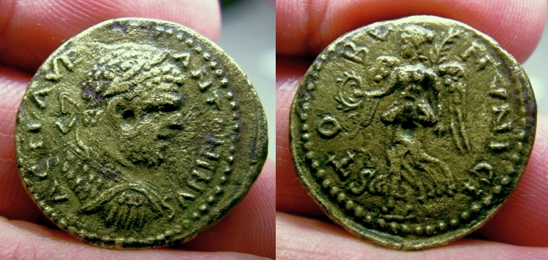 carastobi2.jpg