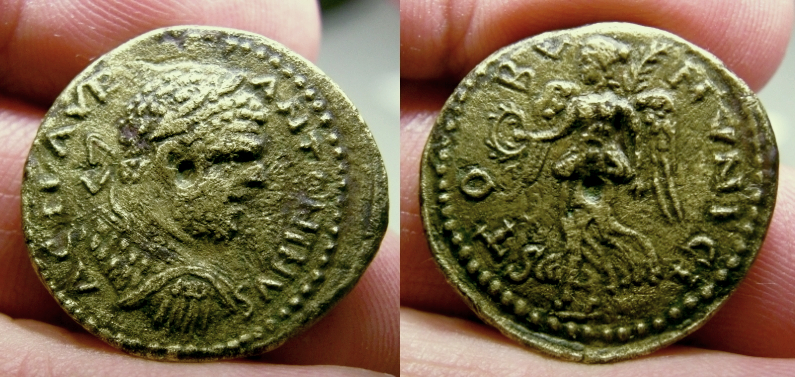 carastobi2.jpg
