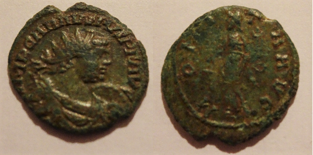Carausius 0601 2 (2).png