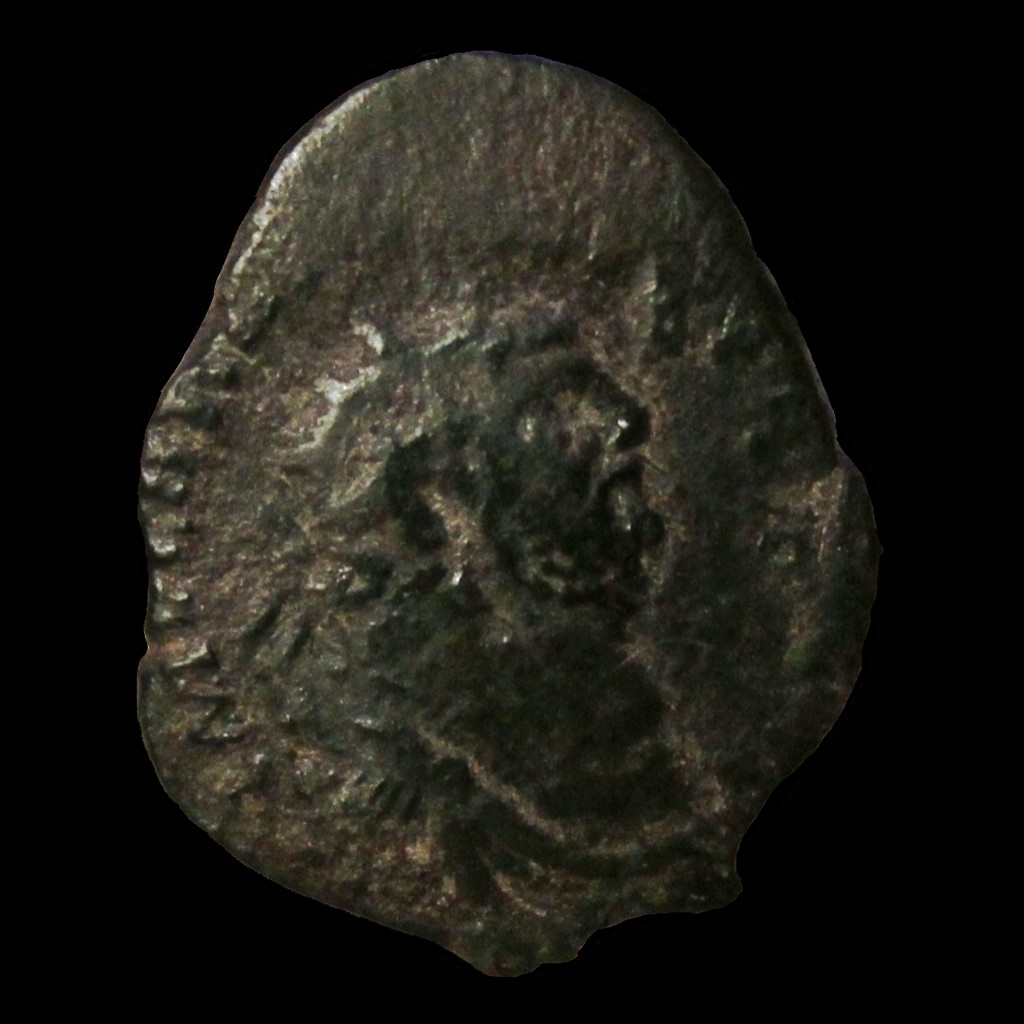 carausius 20150105 obv.jpg