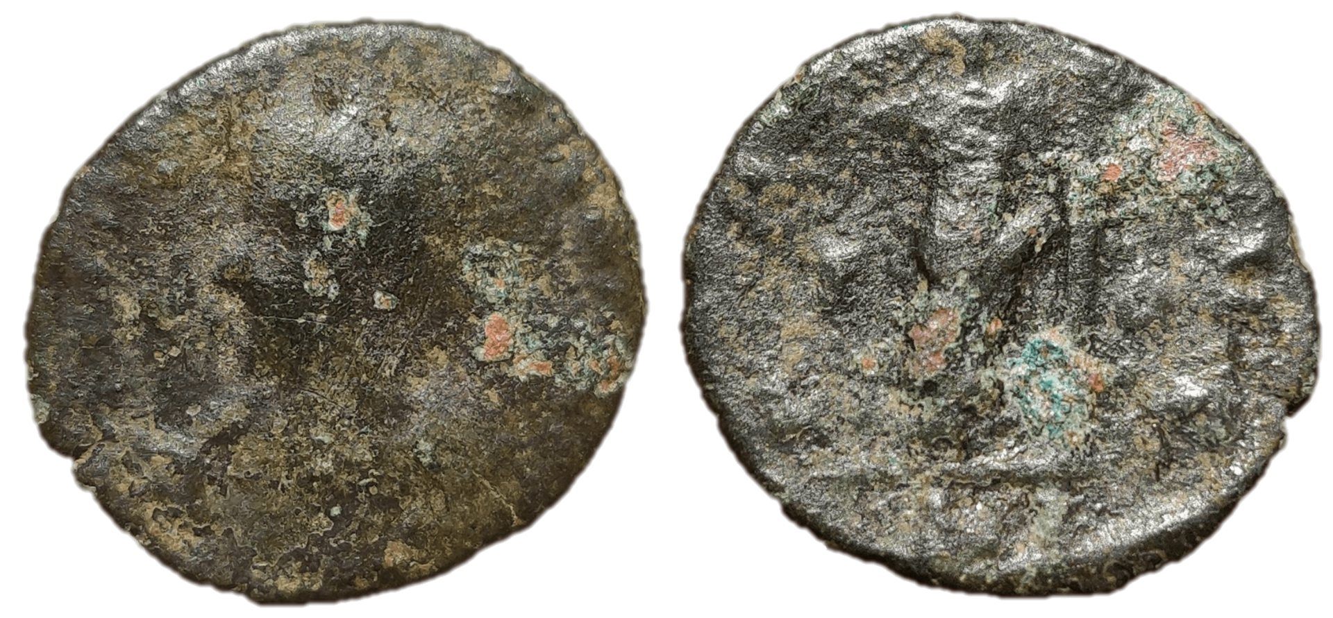 Carausius bust left 2.png