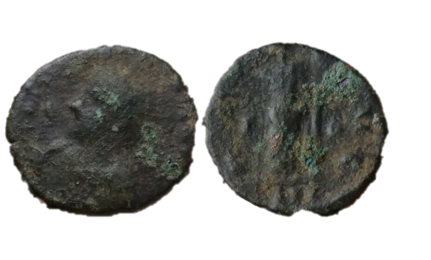 carausius bust left.png