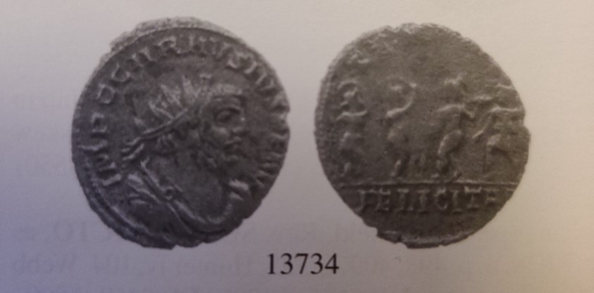 carausius in sear.jpg