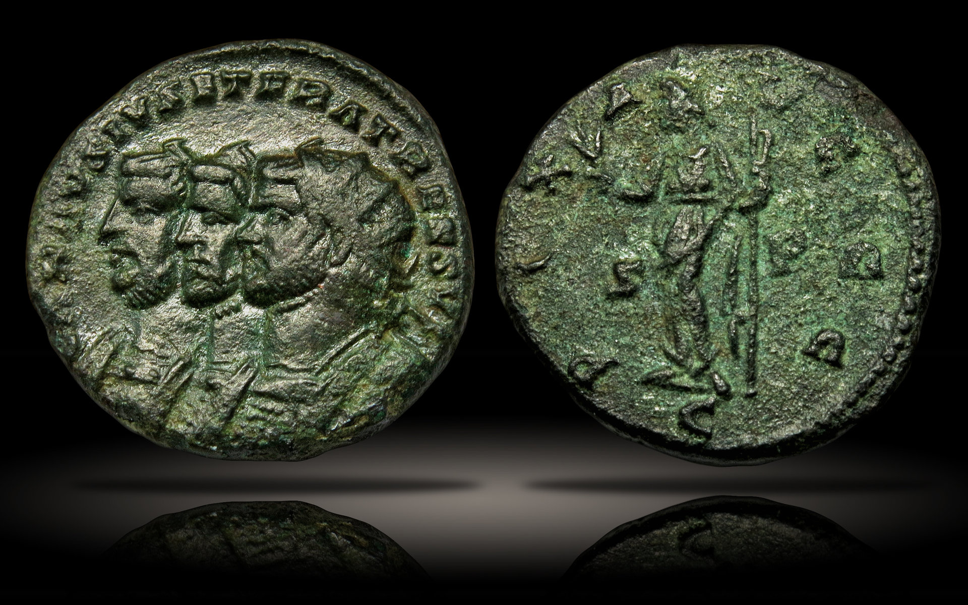 Carausius.jpg