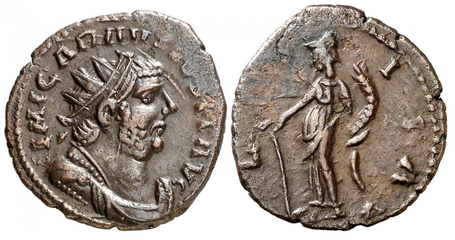 Carausius.JPG
