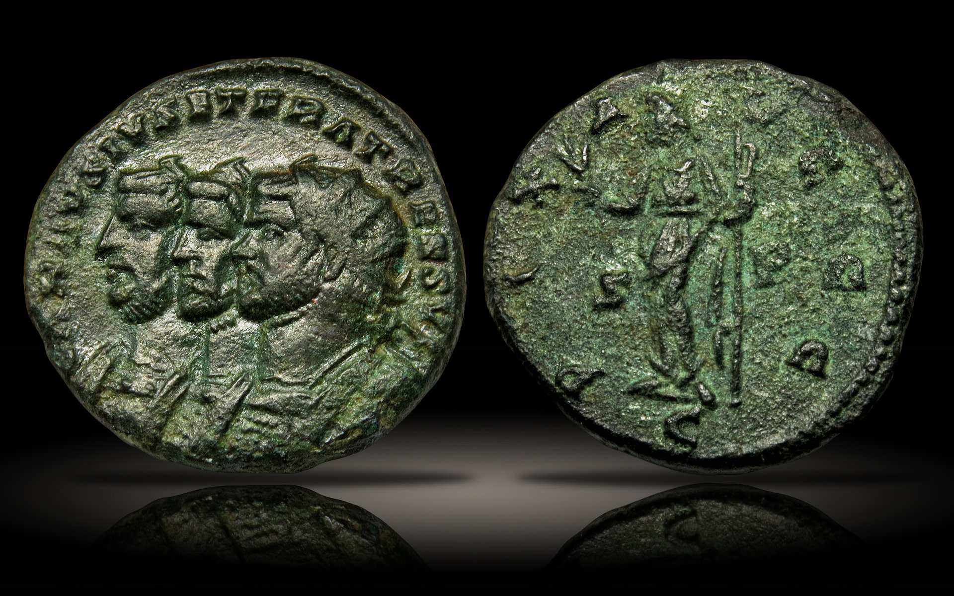 Carausius.jpg