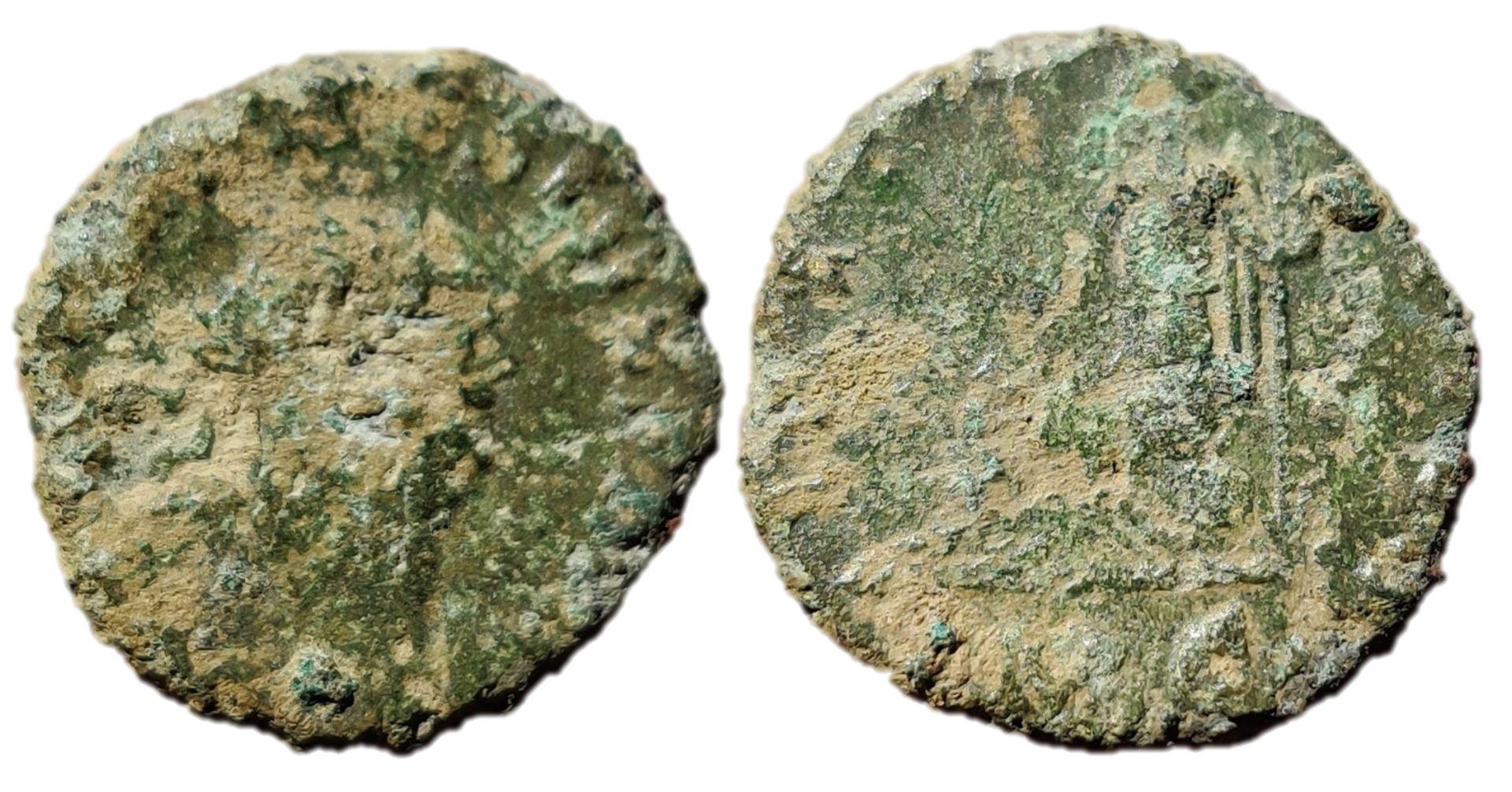 carausius mc.png
