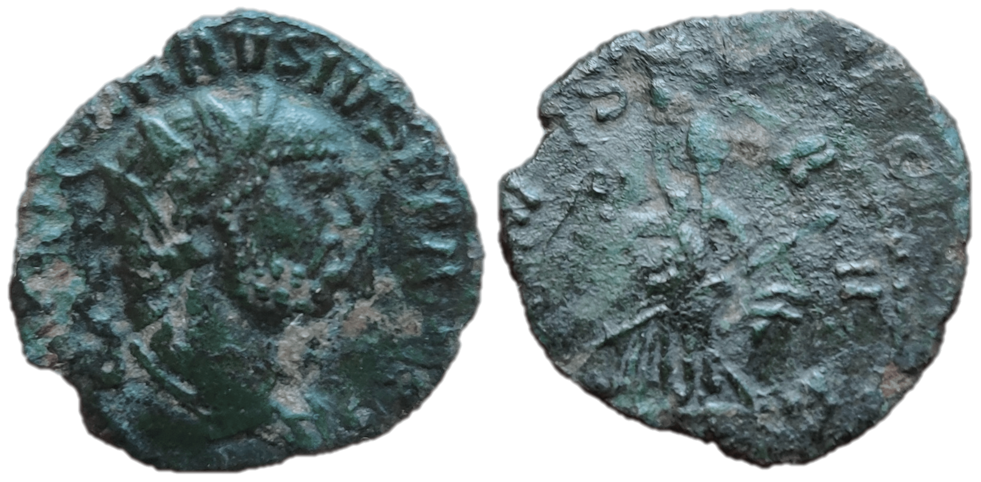 carausius overstruck 2-min.png