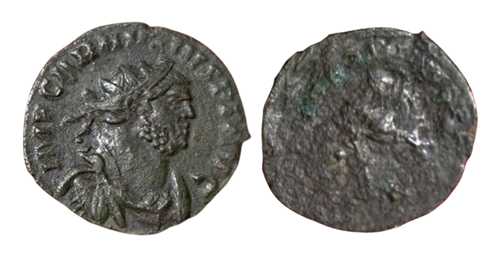 carausius overstruck.png