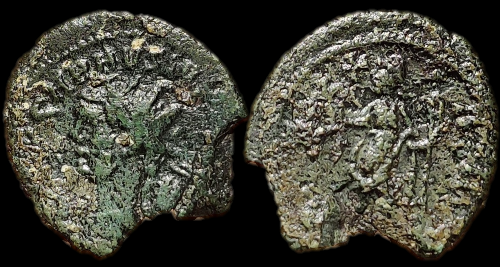 carausius pax avg bust left.png