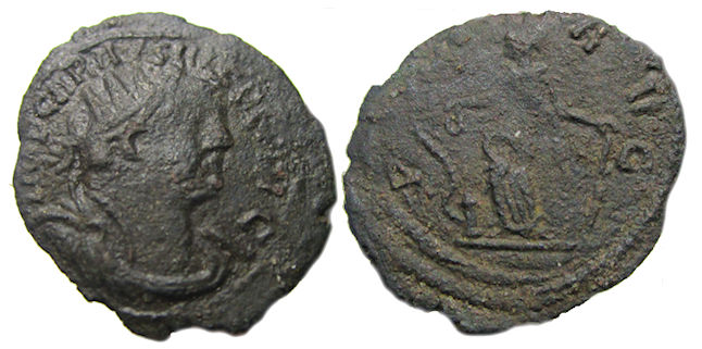 Carausius PAX AVG.jpg
