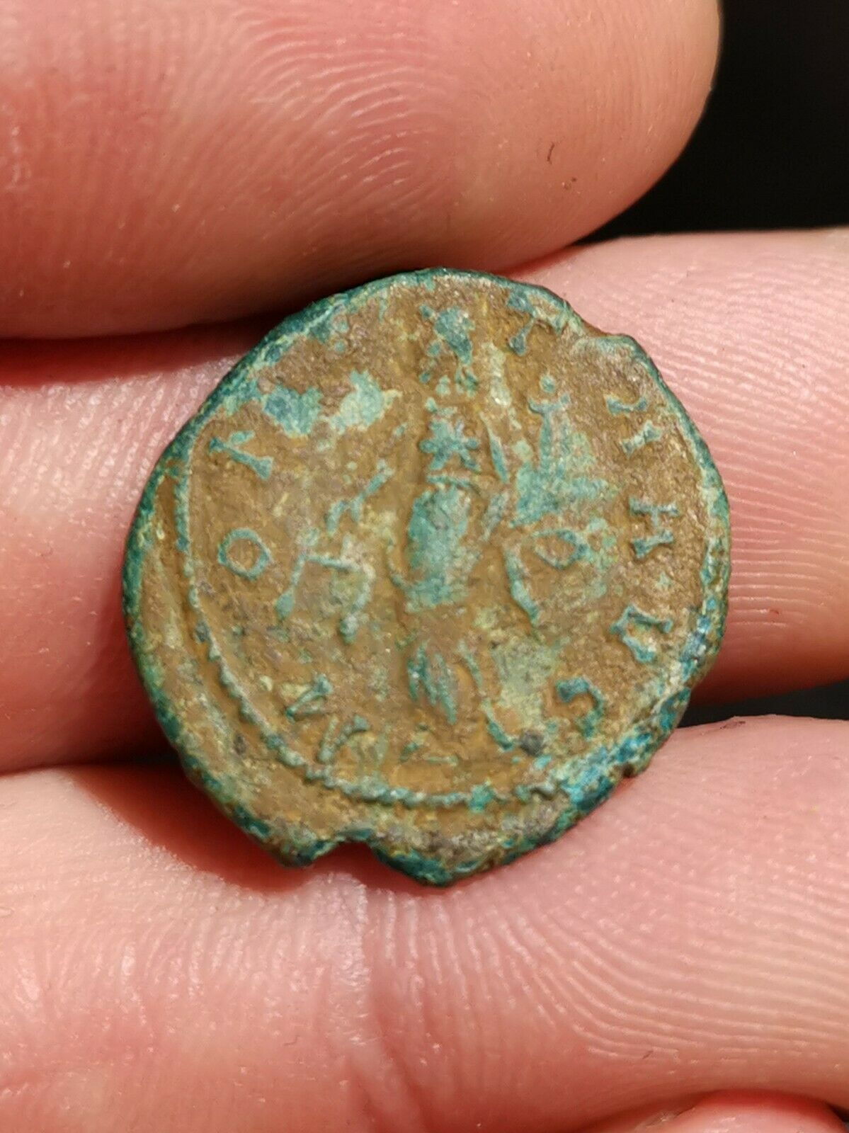 Carausius Rev.jpg
