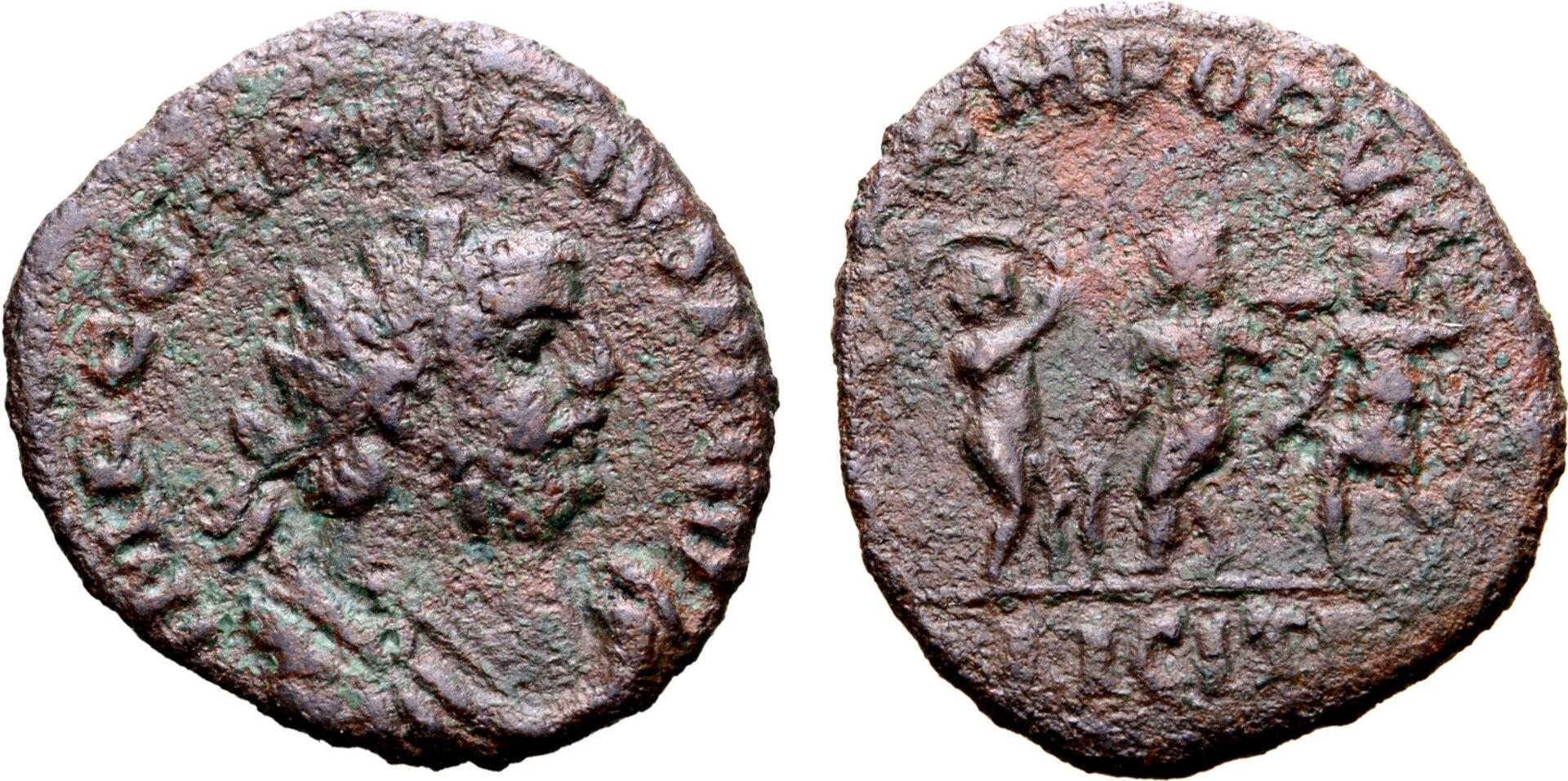 carausius seasons roma.jpg