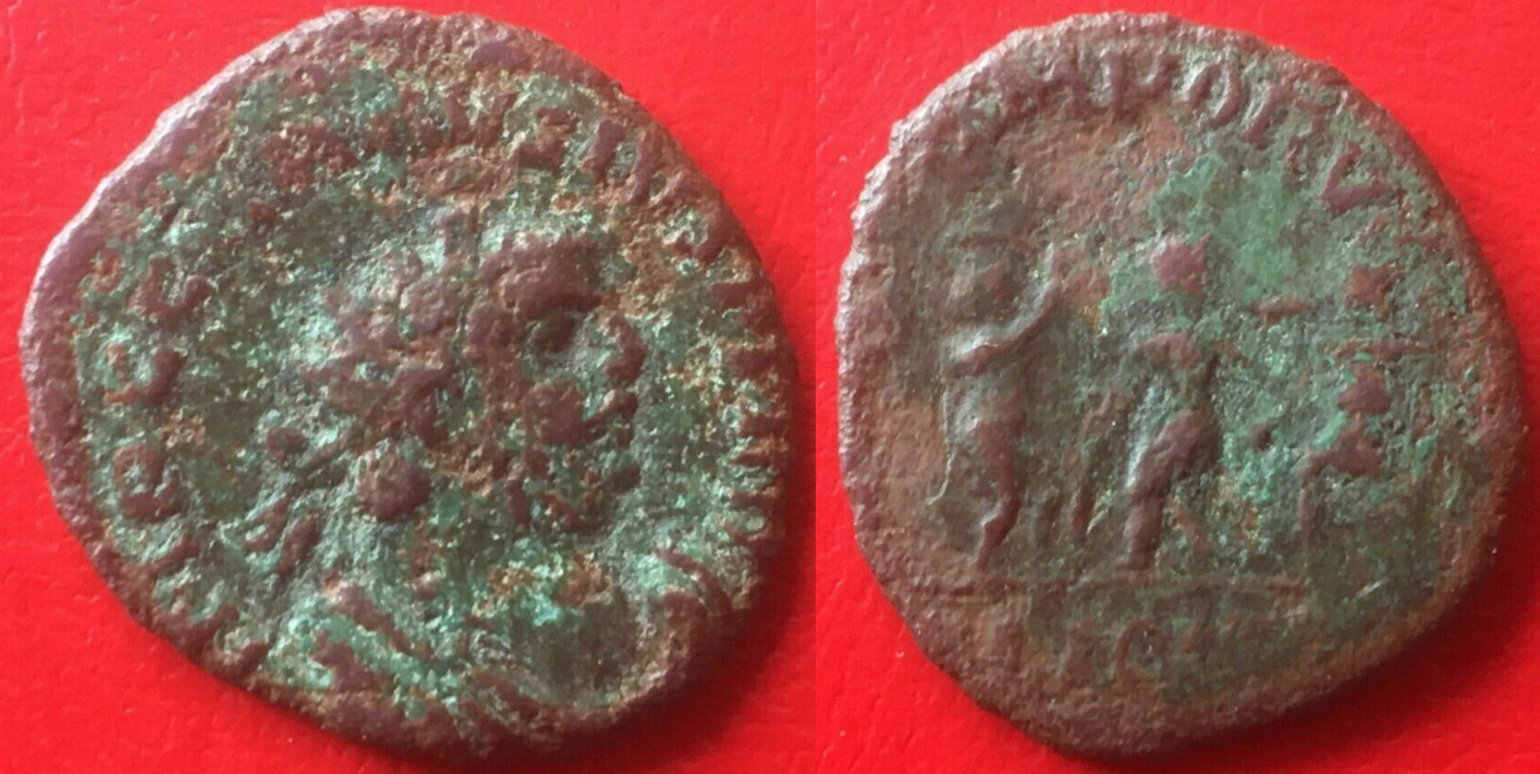 carausius temporvm.png