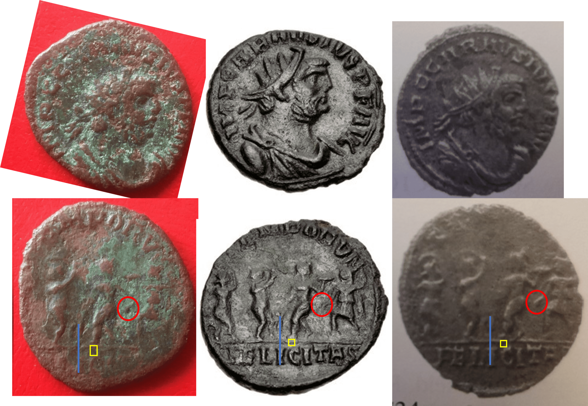 carausius temporvm seasons.png