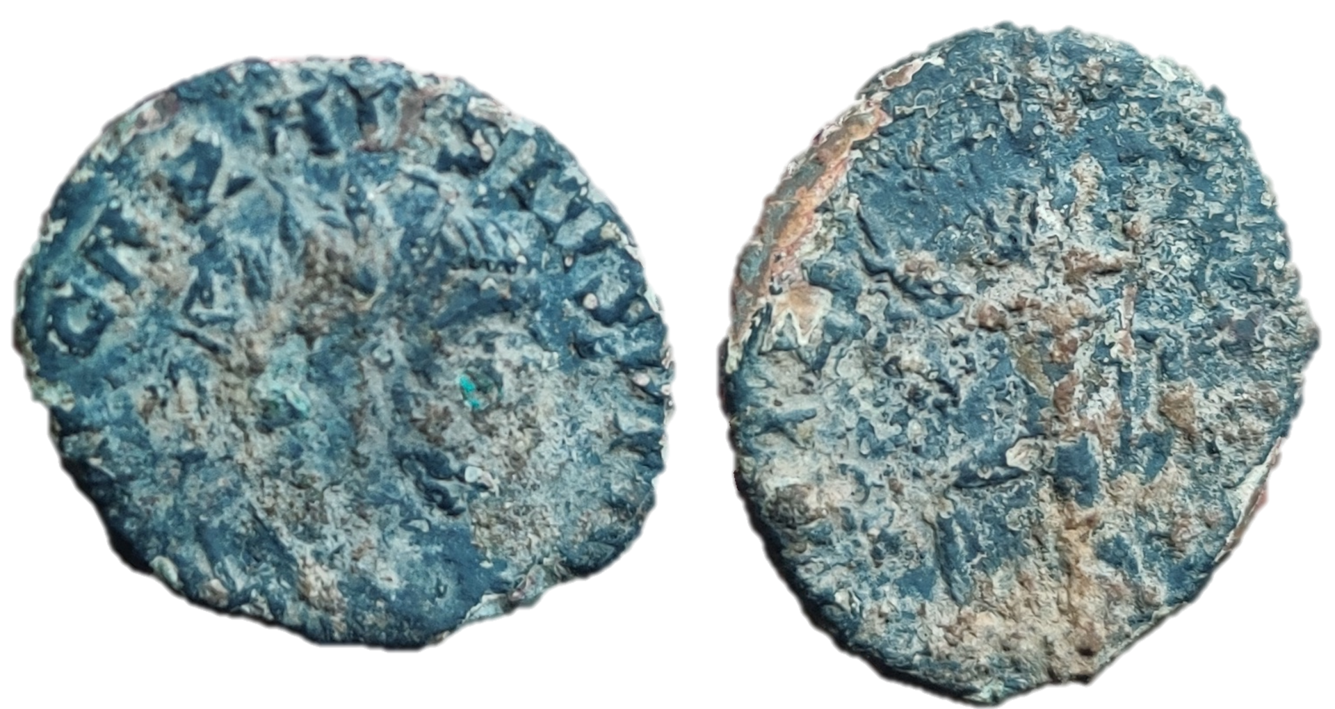 carausius to id.png