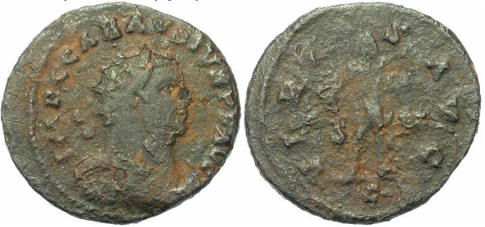 Carausius virtus.jpg