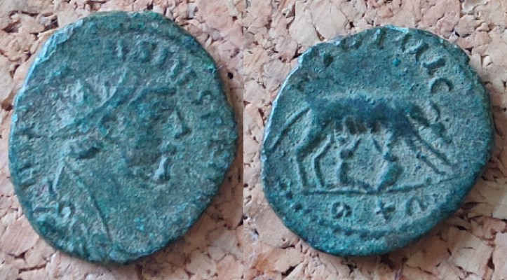 carausius wolf.jpg