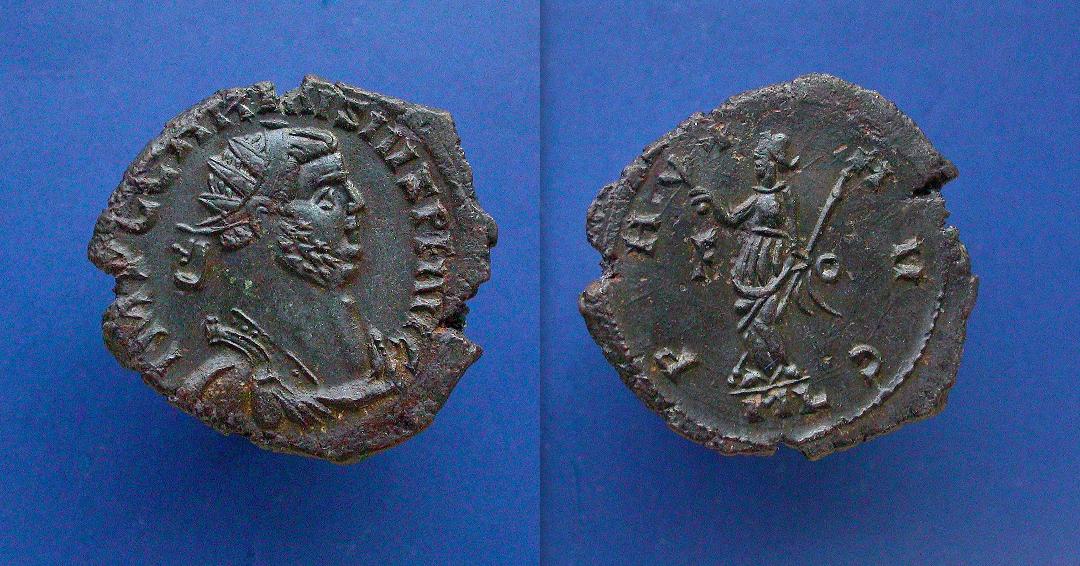 carausius1.jpg