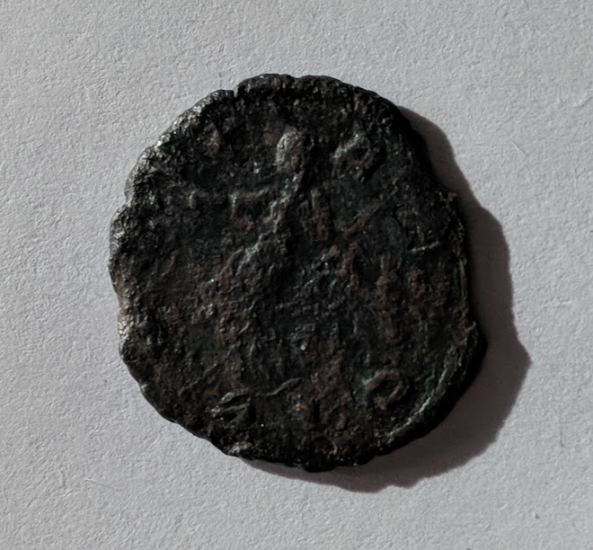 carausius2.jpg