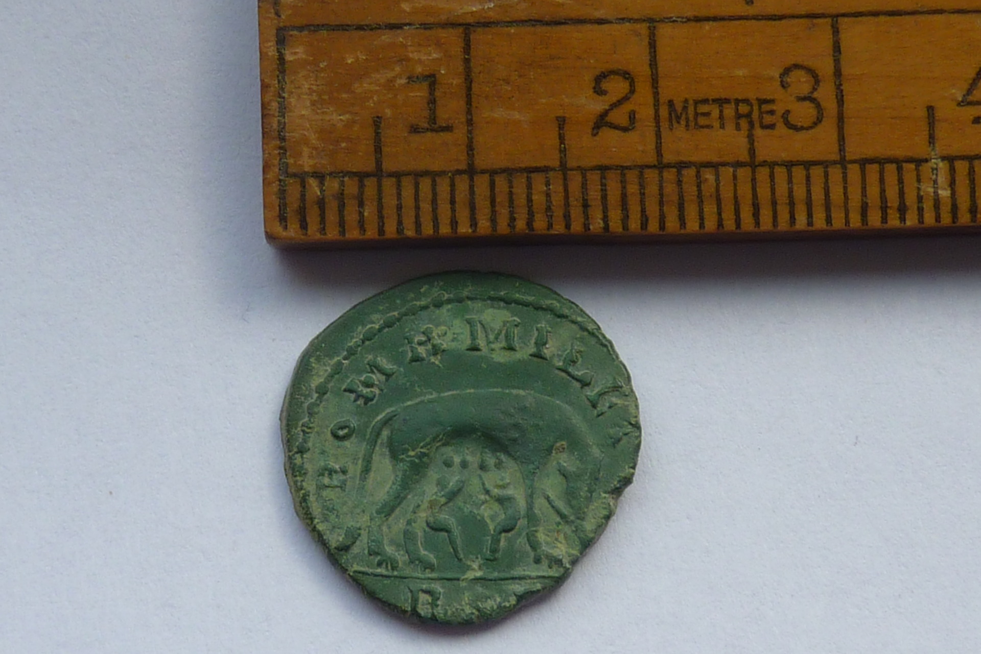 Carausius4.jpg