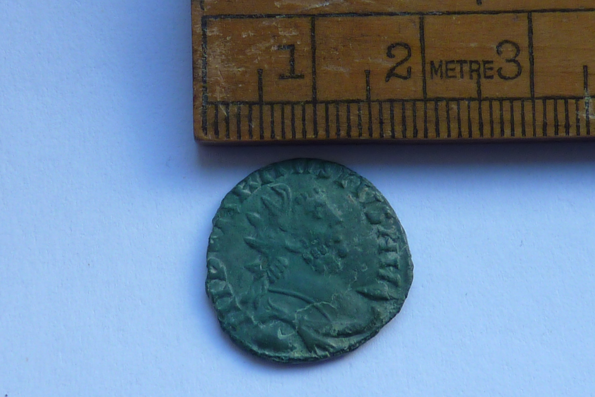 Carausius5.jpg