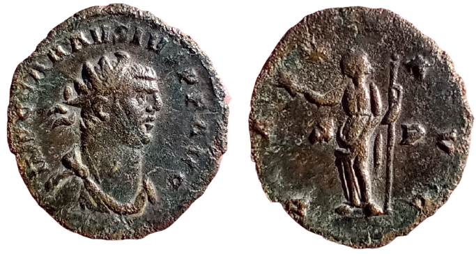 Carausius_Pax_SP-removebg-preview.png