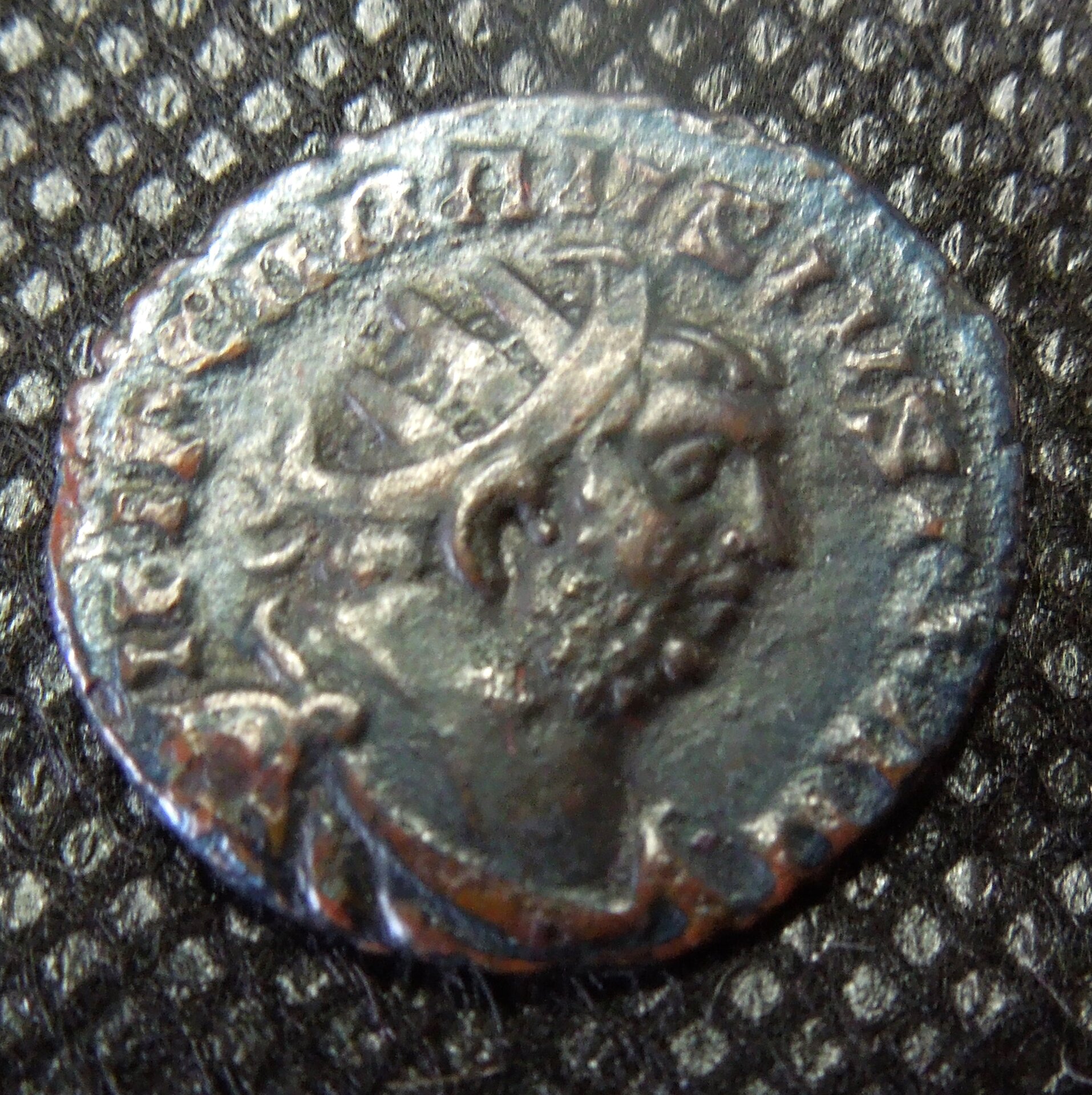 CARAUSIUSD.JPG