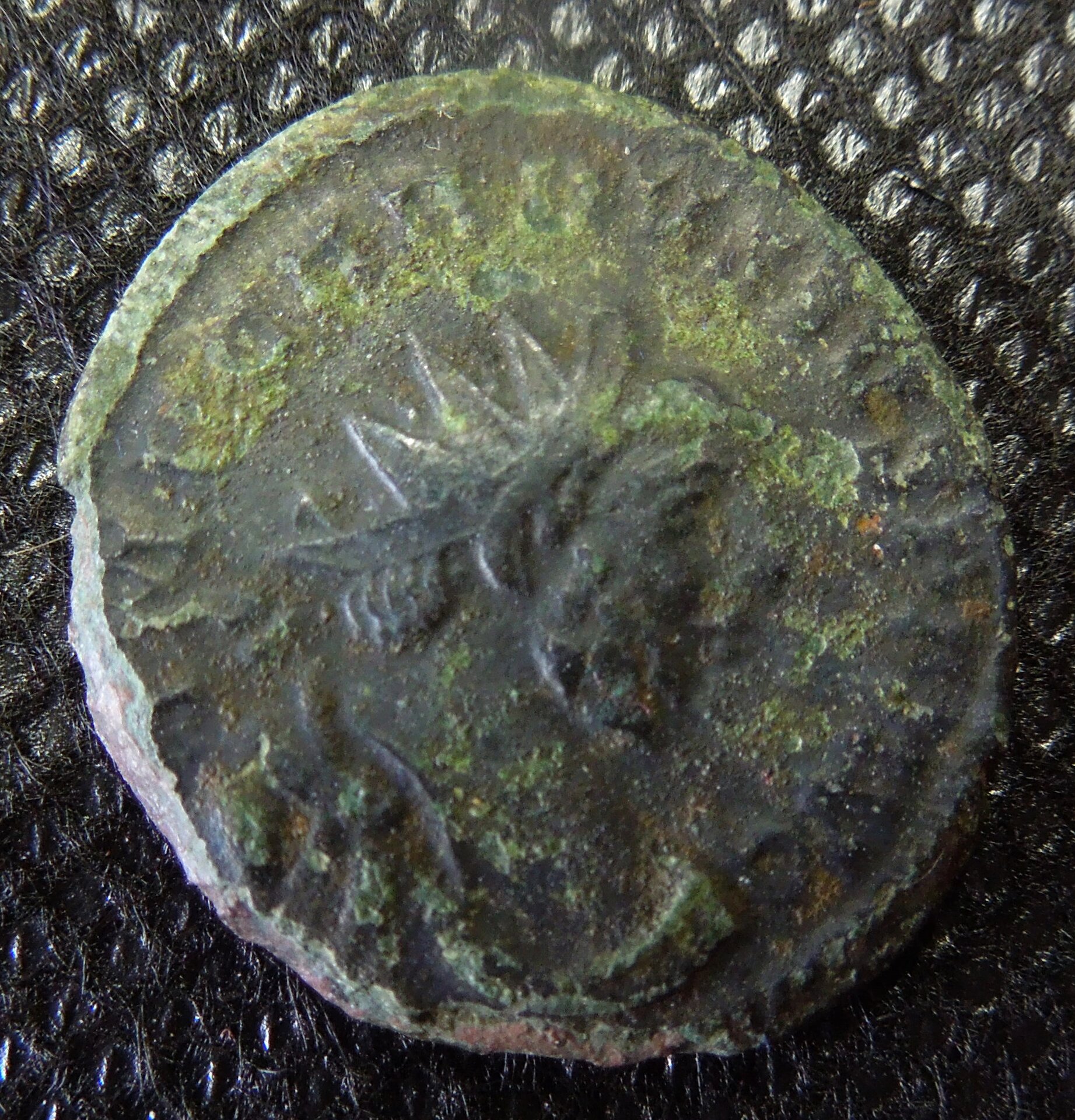 CARAUSIUSVICA.JPG