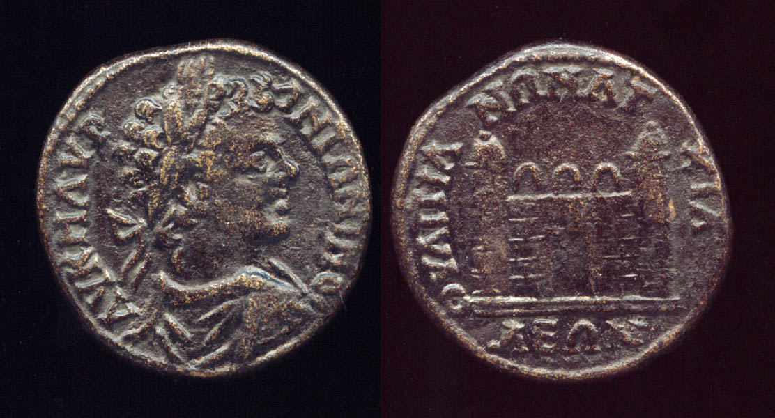 carc01-ab169-sm.jpg