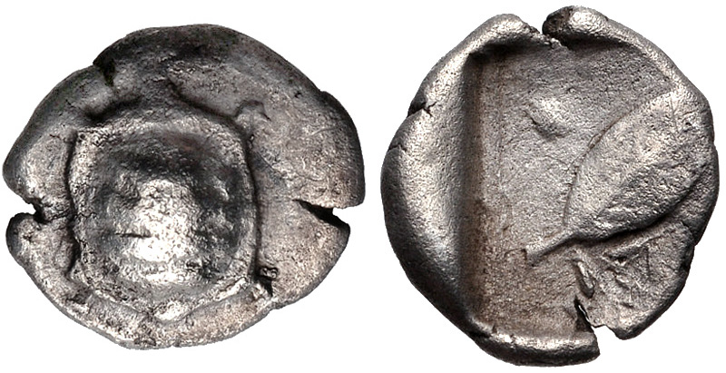 Caria Idyma Tortoise.jpg