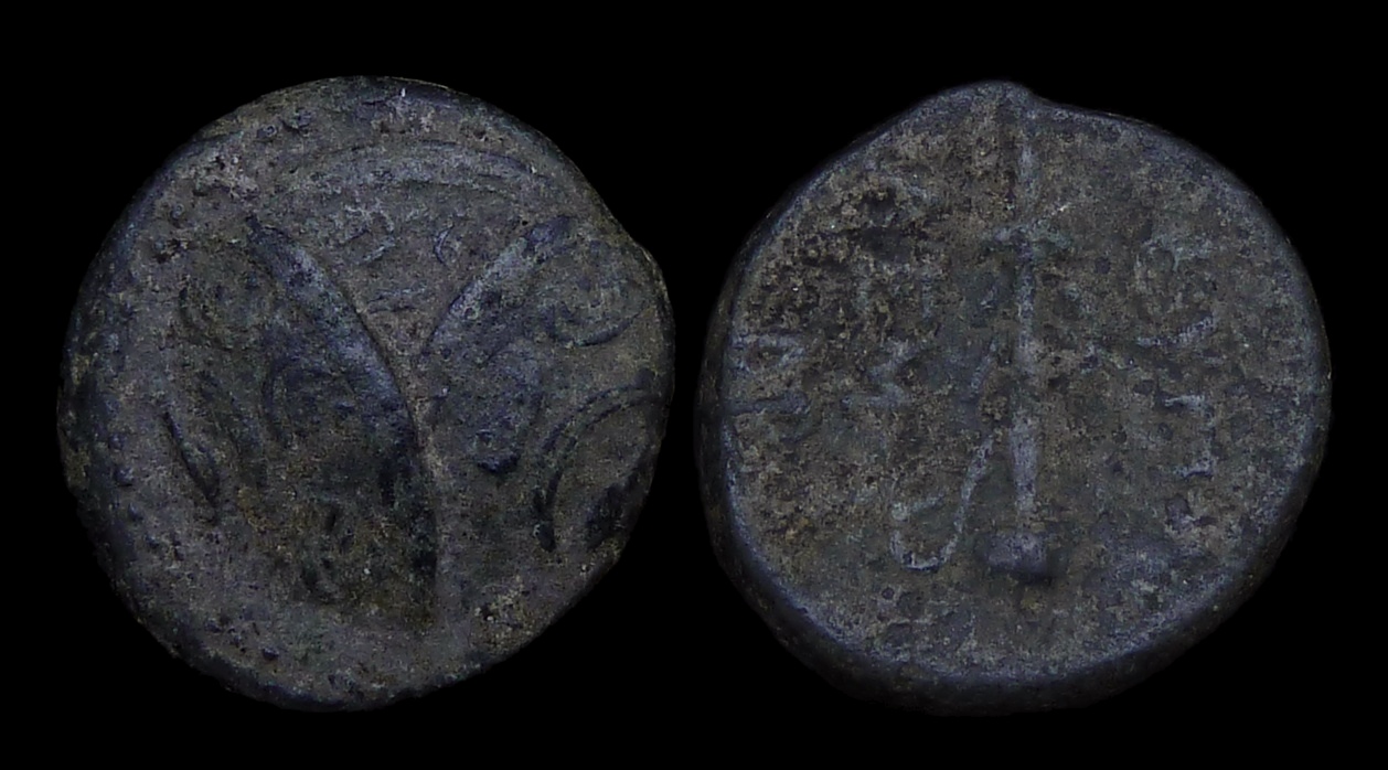 CARIA Mylasa - AE18 Eupolemos Three Shields 2956.jpg