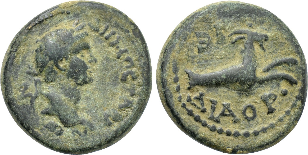 Caria Tabae Flavian Portrait CNG.JPG