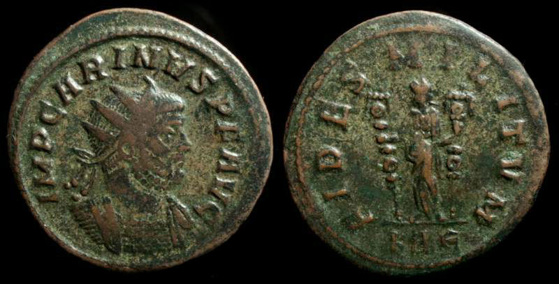 Carinus 2.jpg