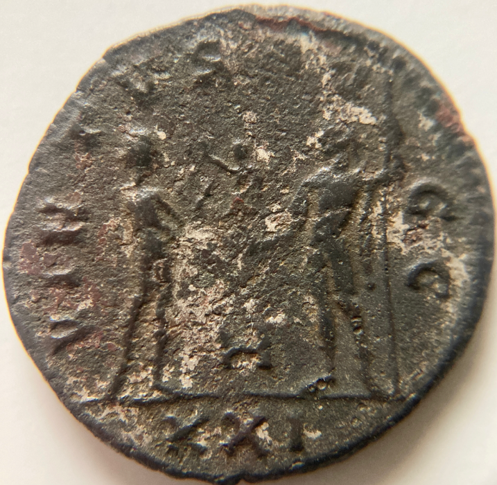 carinus-2.png