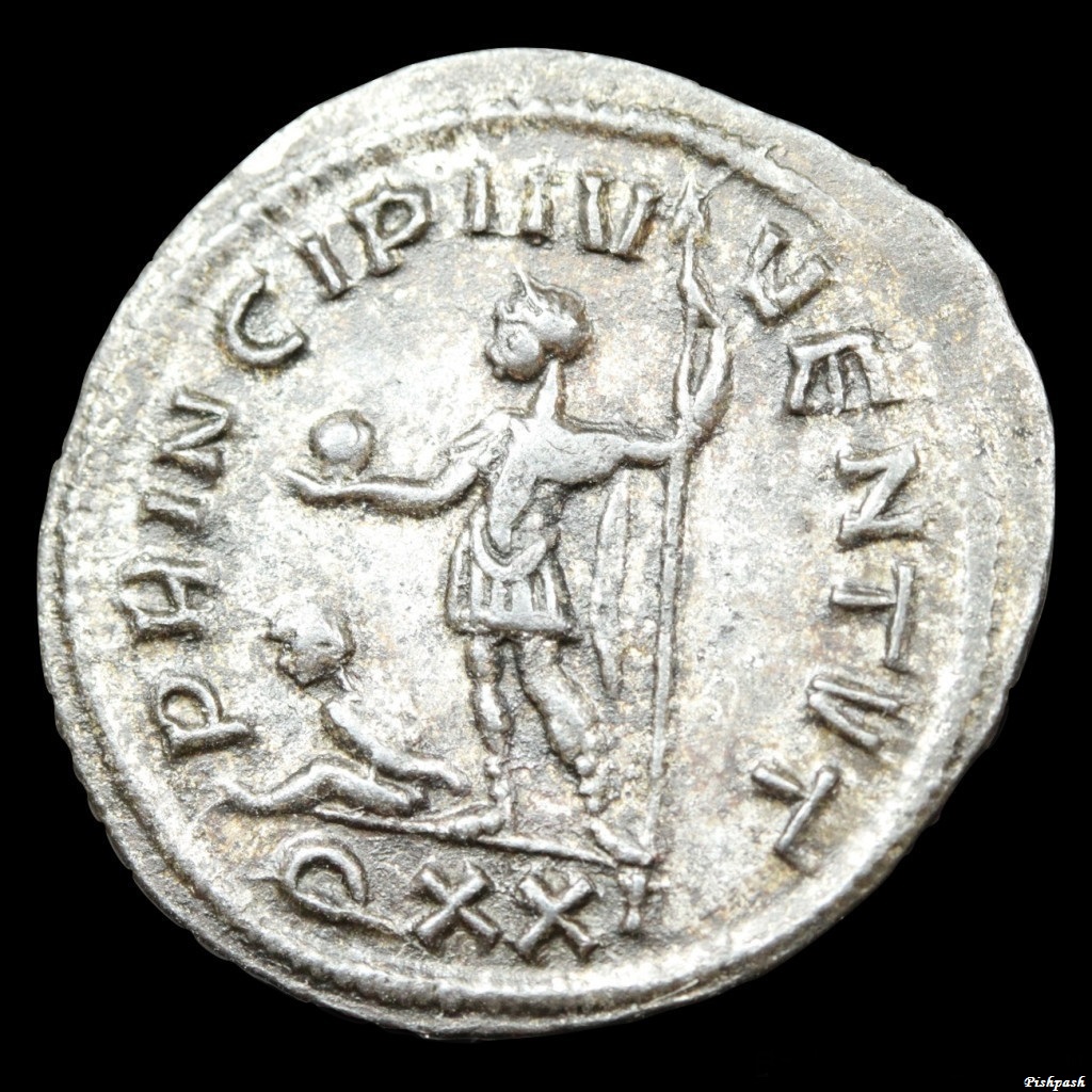 Carinus 20160068 rev.jpg