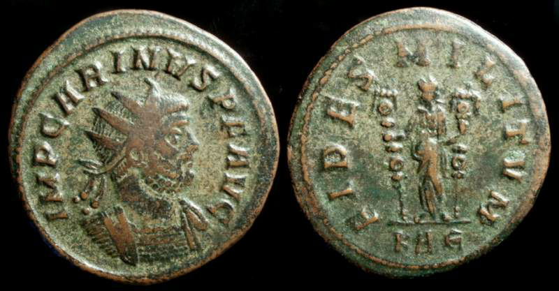 Carinus 2a.jpg
