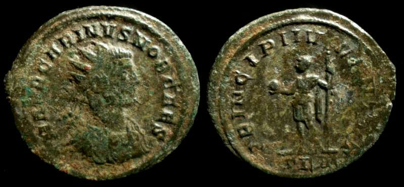 Carinus 3.jpg