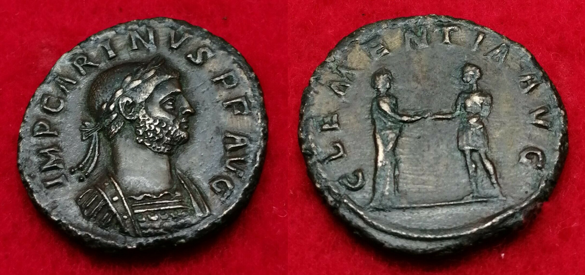 carinus as.png