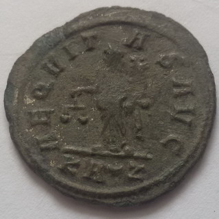 Carinus B.jpg