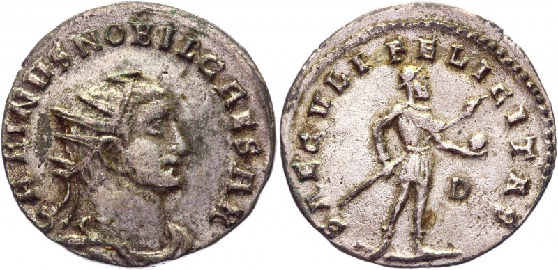 carinus fake.jpg
