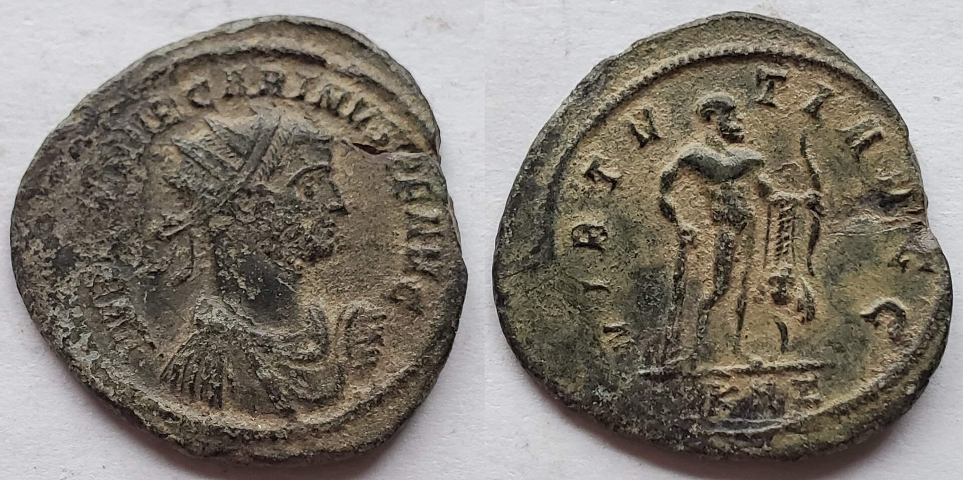 Carinus Hercules standing.jpg