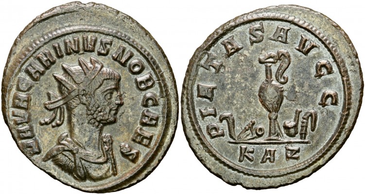 Carinus.jpg