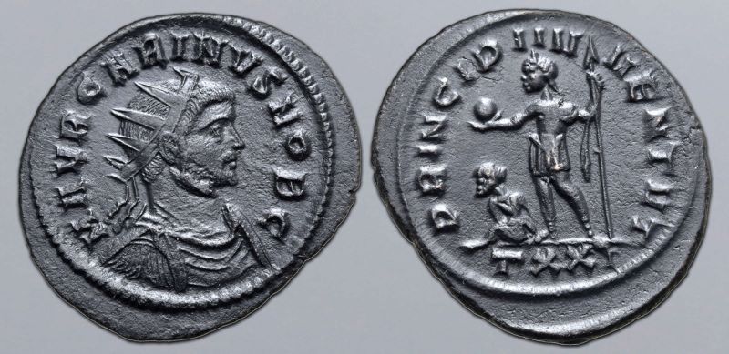 Carinus.jpg