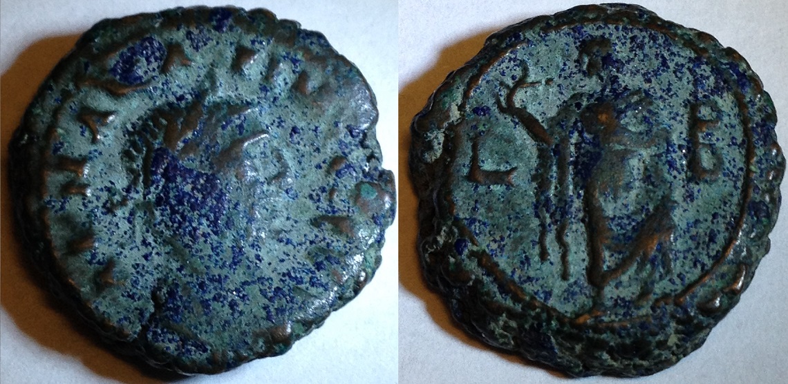 carinus.jpg