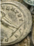 Carinus.jpg