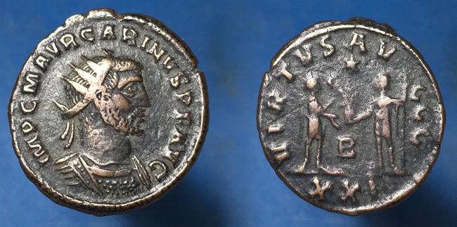 carinus.JPG