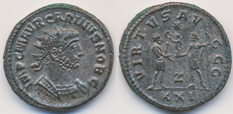 Carinus nobc.jpg
